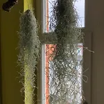 Apartamento Raumausbeute Design Naturraum *