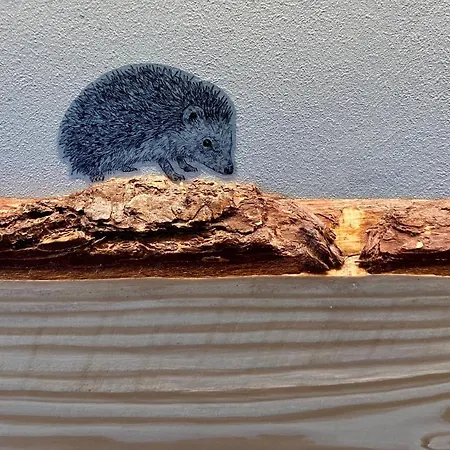 Raumausbeute Design Naturraum * Detmold