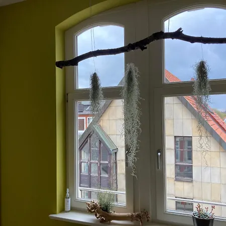 Apartment Raumausbeute Design Naturraum