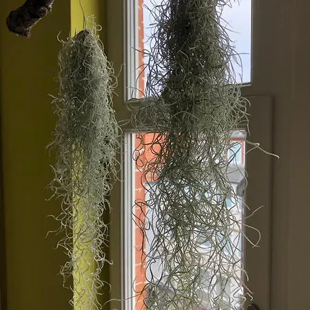 Apartamento Raumausbeute Design Naturraum *