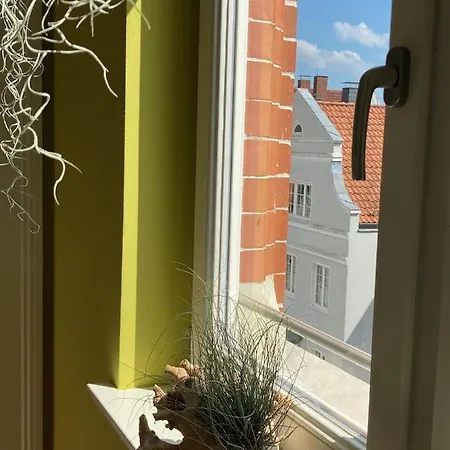 Raumausbeute Design Naturraum Detmold