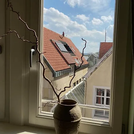 Apartamento Raumausbeute Design Naturraum