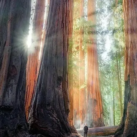 Raumausbeute Design Naturraum