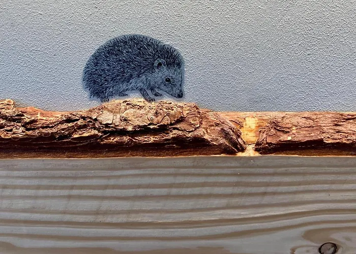 Raumausbeute Design Naturraum * デトモルト