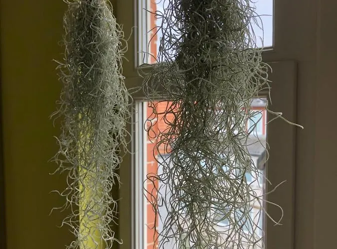 アパート Raumausbeute Design Naturraum *