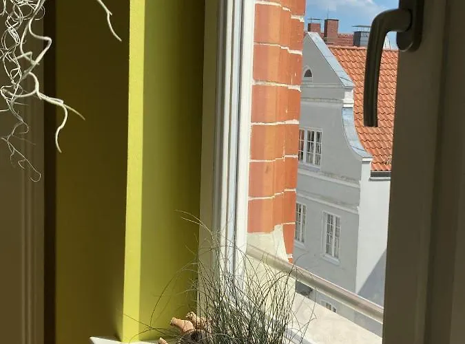 Raumausbeute Design Naturraum デトモルト