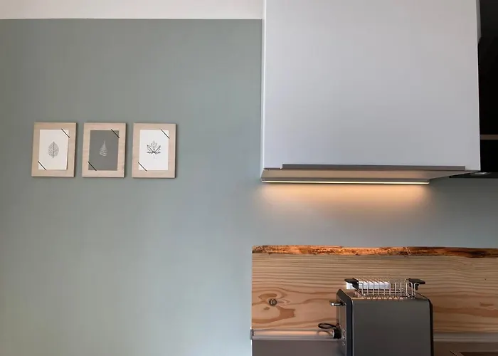 Raumausbeute Design Naturraum Apartment Detmold